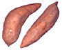 YAM contain diosgenin